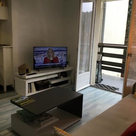 Lo Vedelier D'Aubrac Apartment Laguiole Bagian luar foto