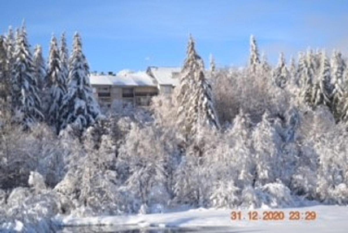 Lo Vedelier D'Aubrac Apartment Laguiole Bagian luar foto
