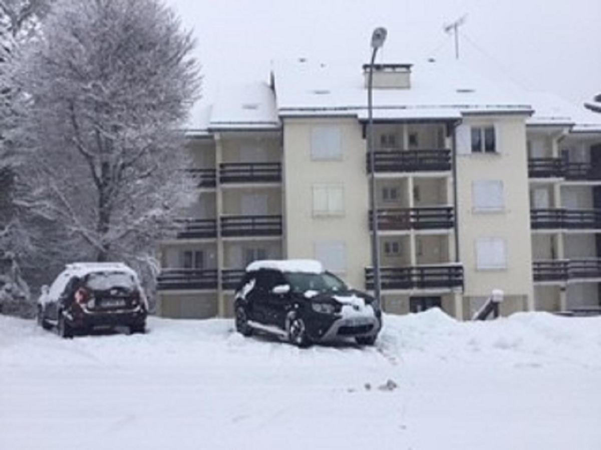 Lo Vedelier D'Aubrac Apartment Laguiole Bagian luar foto