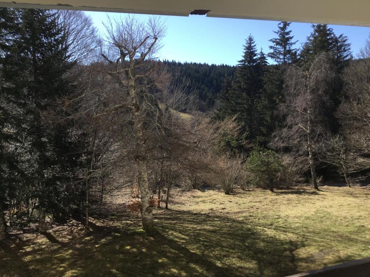 Lo Vedelier D'Aubrac Apartment Laguiole Bagian luar foto