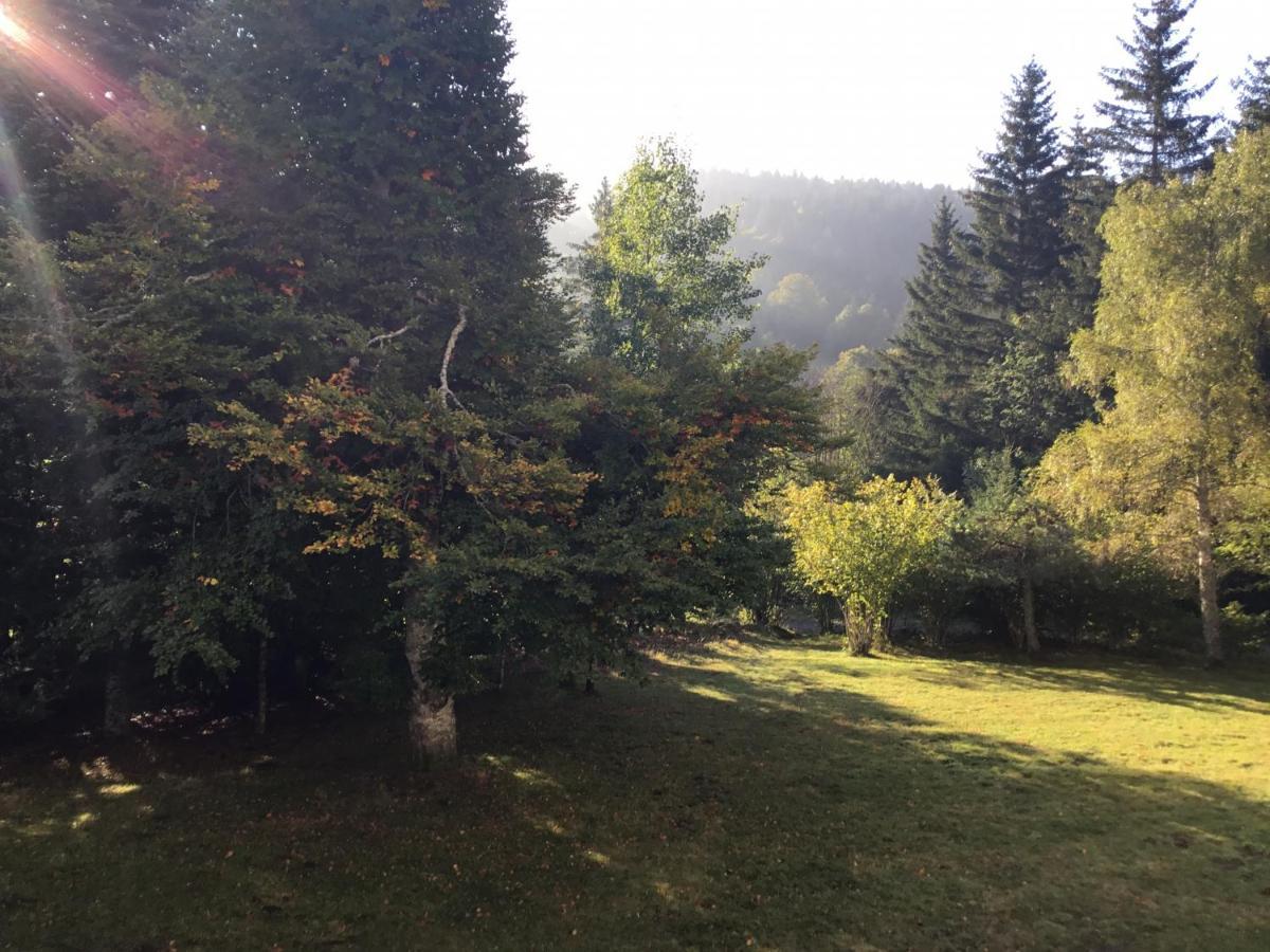 Lo Vedelier D'Aubrac Apartment Laguiole Bagian luar foto