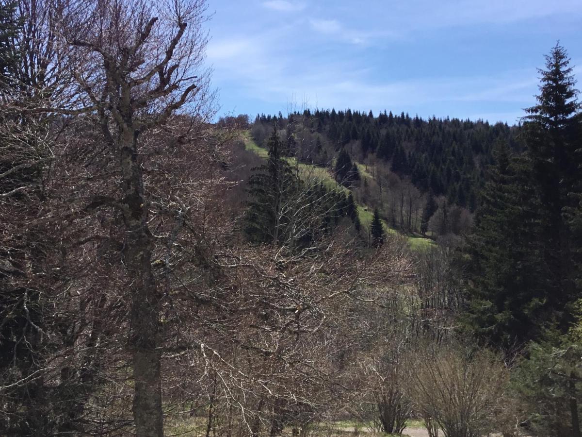 Lo Vedelier D'Aubrac Apartment Laguiole Bagian luar foto