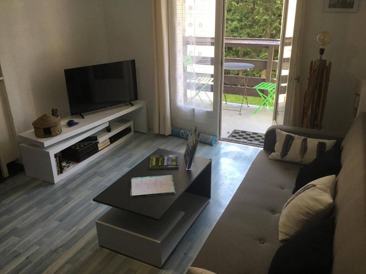 Lo Vedelier D'Aubrac Apartment Laguiole Bagian luar foto