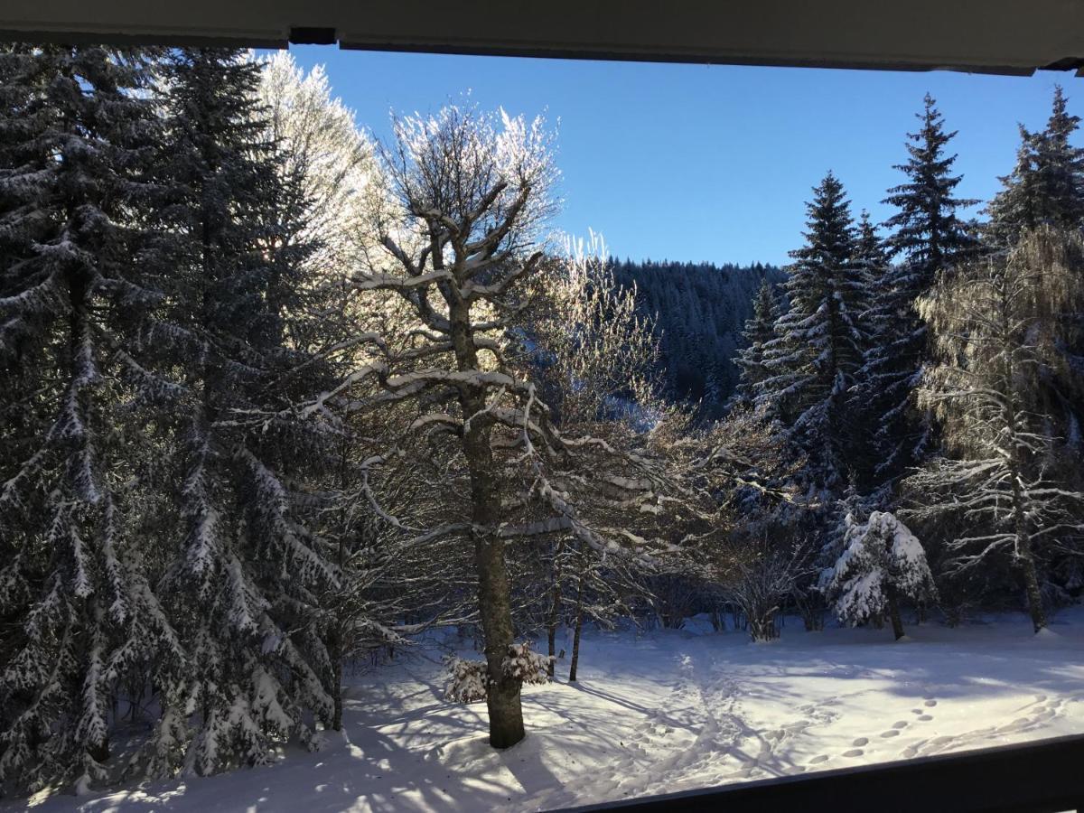 Lo Vedelier D'Aubrac Apartment Laguiole Bagian luar foto