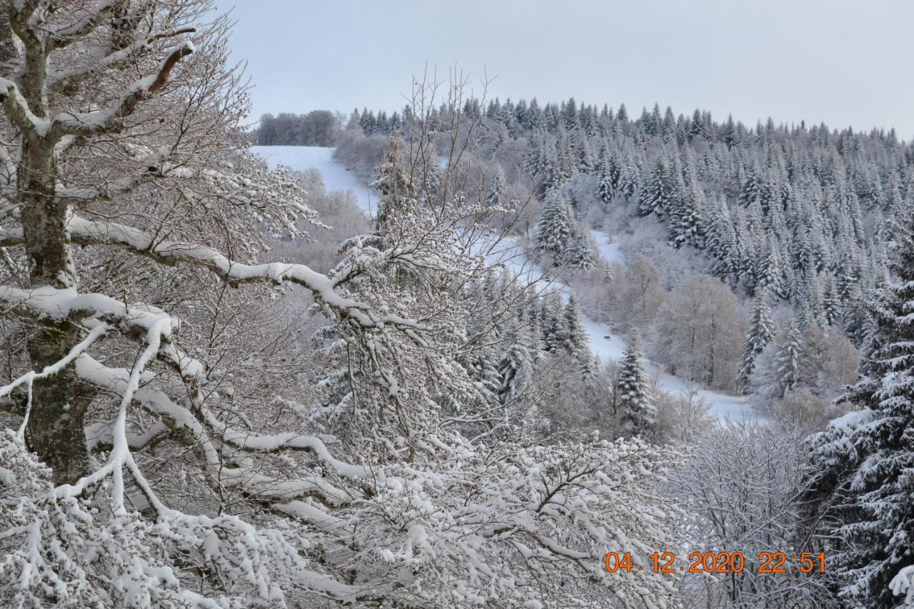 Lo Vedelier D'Aubrac Apartment Laguiole Bagian luar foto